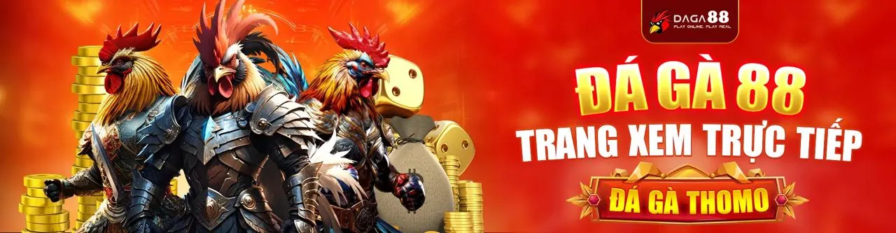 Đá Gà Trực Tuyến Hấp Dẫn tại 71win