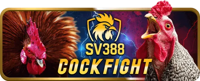 Cá cược bóng đá 71win